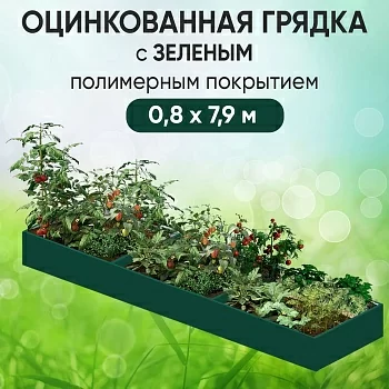 Грядка зеленая (0,8 х 7,9)